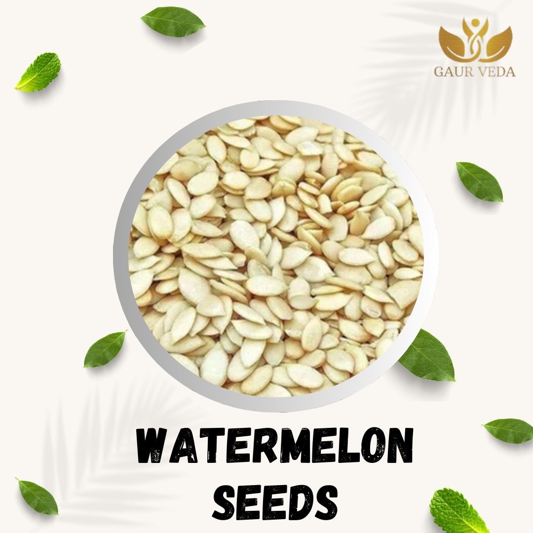 GAURVEDA Tarbooza Seeds - Natural Watermelon Seeds for Healthy Snacking & Gardening - Nutrient Rich, Freshly Packed Beej | 100 Grams
